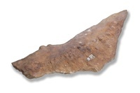 M 06863
<br/>
<br/>
<em></em>